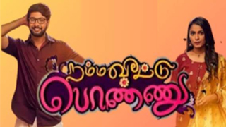 Namma Veettu Ponnu-Vijay tv Serial