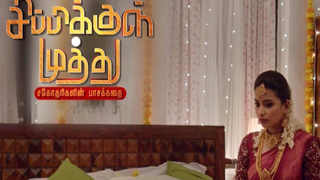 Sippikul Muthu-Vijay tv Serial