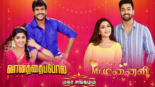 Vanathai Pola-Sun tv Serial